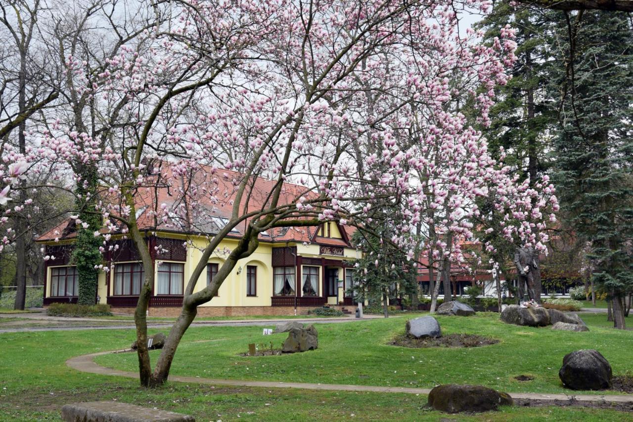 Villa Hotel ديبريتْسين المظهر الخارجي الصورة
